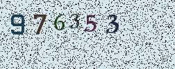 Visual Confirmation Security Code