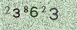 Visual Confirmation Security Code