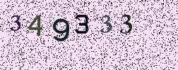 Visual Confirmation Security Code
